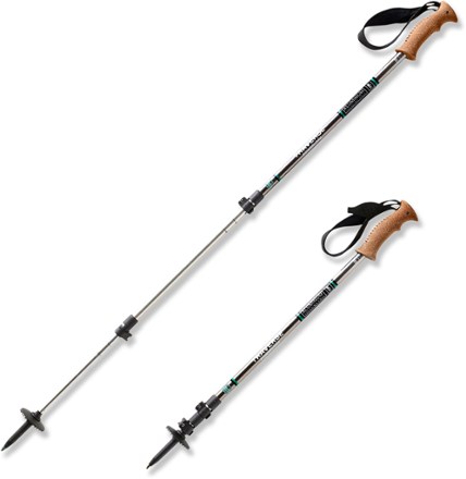 rei trekking pole