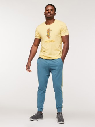 Cotopaxi Bandera Jogger Pants - Men's 3
