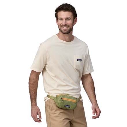 Rei patagonia fanny pack online