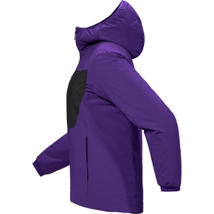 Arc'teryx Proton Heavyweight Insulated Hoody - Women's 4