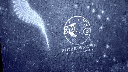 NICHE Wraith Snowboard 5