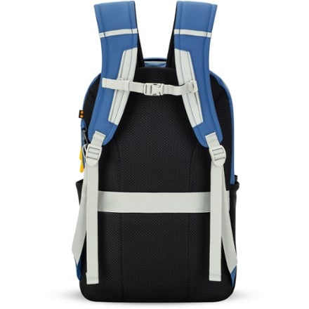 Sherpani Quest 20 L Day Bag 1