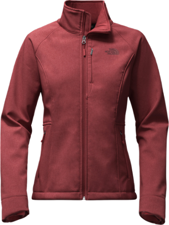 north face apex bionic 2 hoodie women's