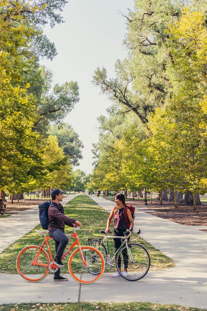 Location Image for Rhune 20 Pack