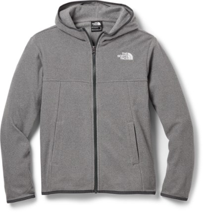 the north face hoodie fleece