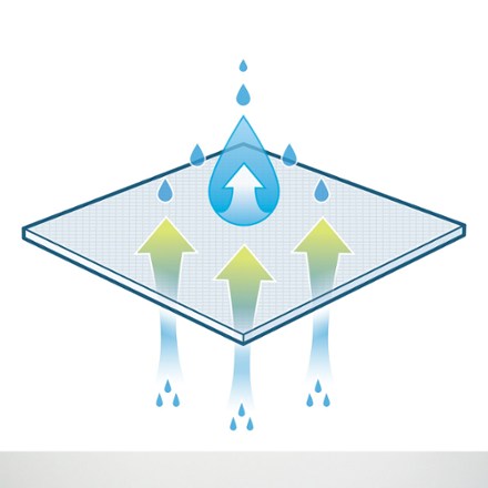 Illustration (Olive Night)