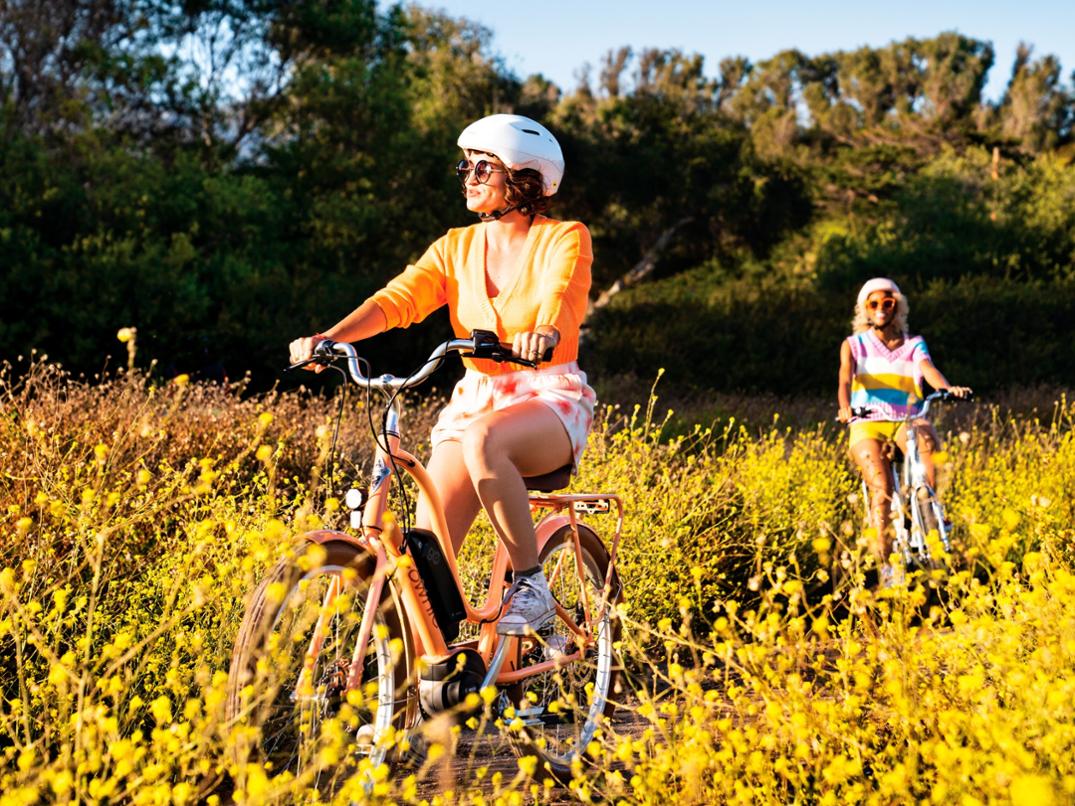 Location Image for Townie Go! 5i EQ Step-Thru Electric Bike