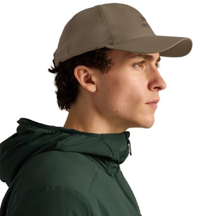 Arc'teryx Bird Word Cap 4