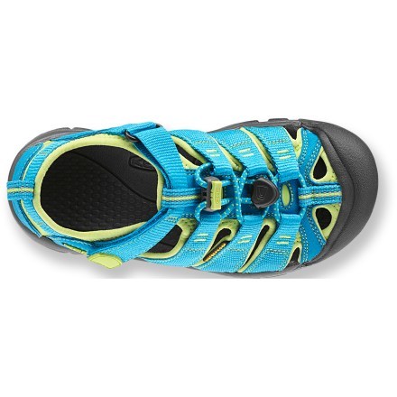 Top view (Hawaiian Blue/Green Glow)