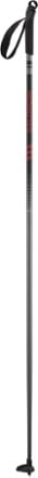 Salomon Escape Cross-Country Ski Poles 1