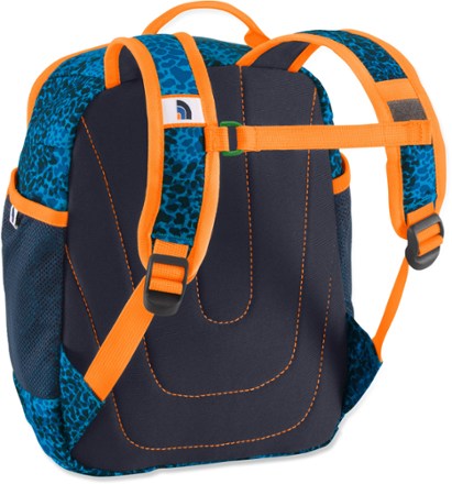 Back View (Meridian Blue Reptile Cam)