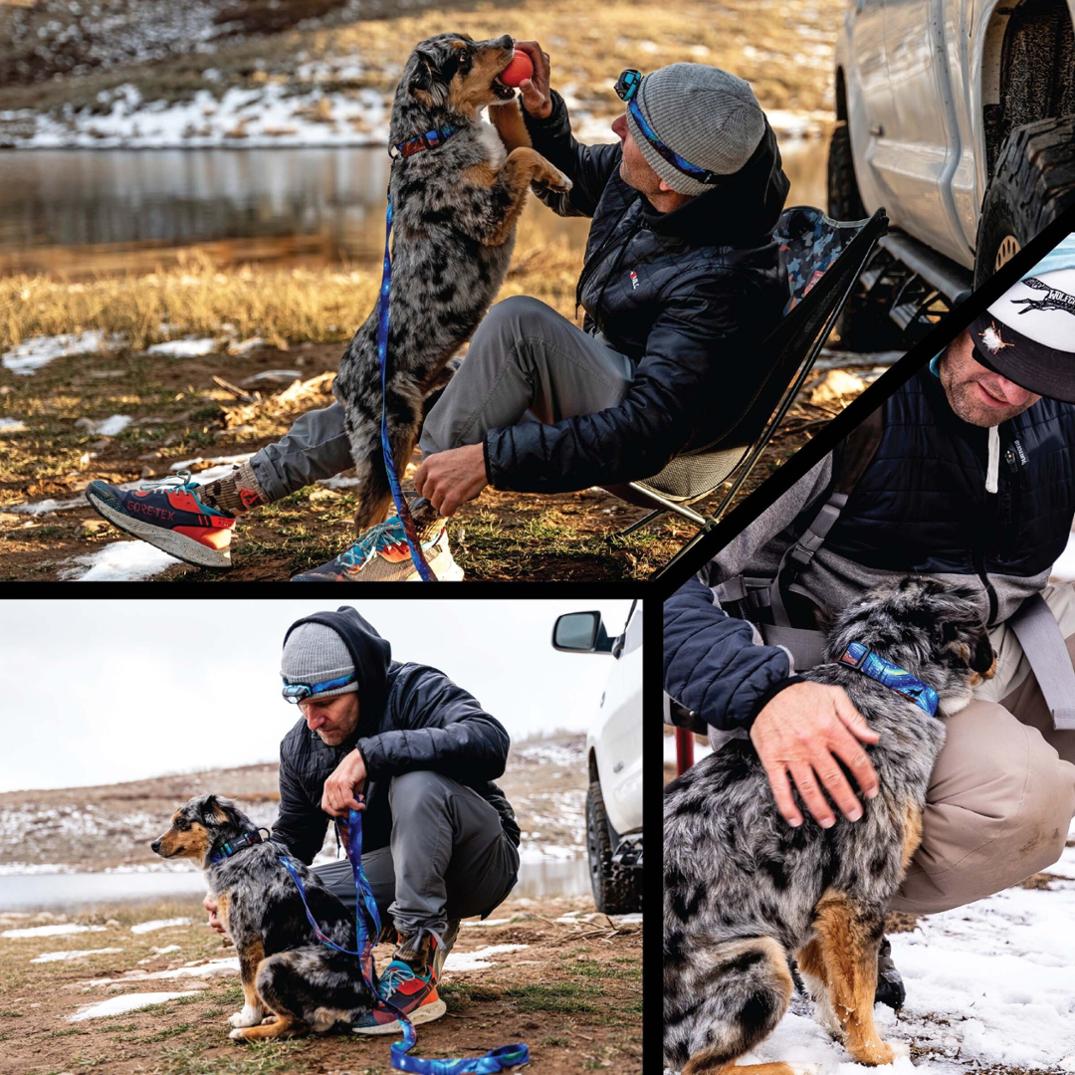 Location Image for StarryWolf Leash