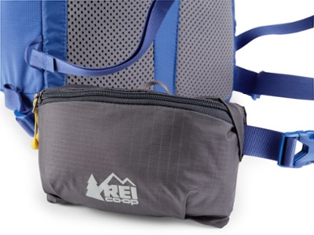 REI Co-op Packmod Hipbelt Pocket 2