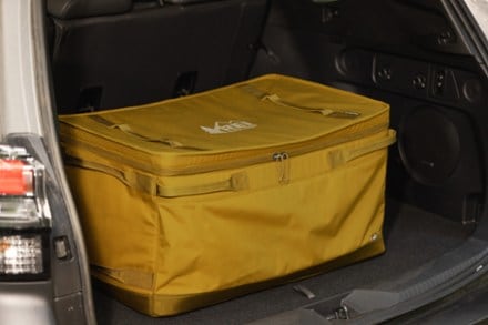 Location Image of color Golden Olive