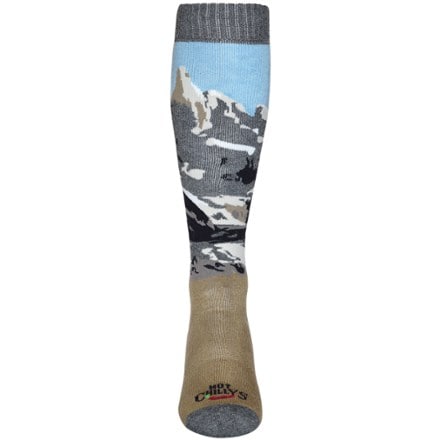 Hot Chillys Scenic Mid Volume Socks - Men's 1