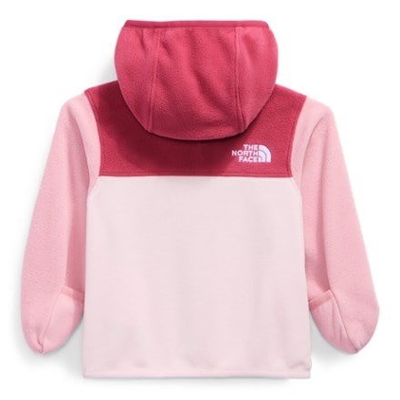 The North Face Glacier Full-Zip Hoodie - Infants' 3