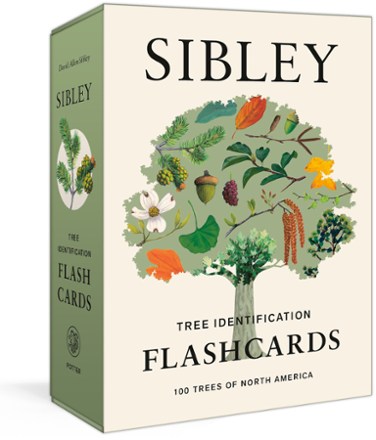 Clarkson Potter Sibley Tree Flash Cards 0