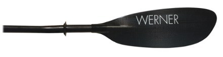 Close-up of back