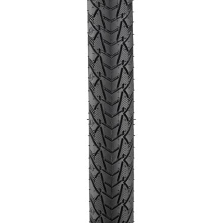 Continental Contact Plus Tire - Wire Bead 1