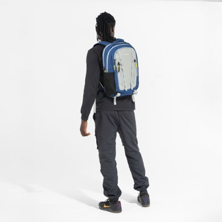 Sherpani Quest 20 L Day Bag 4