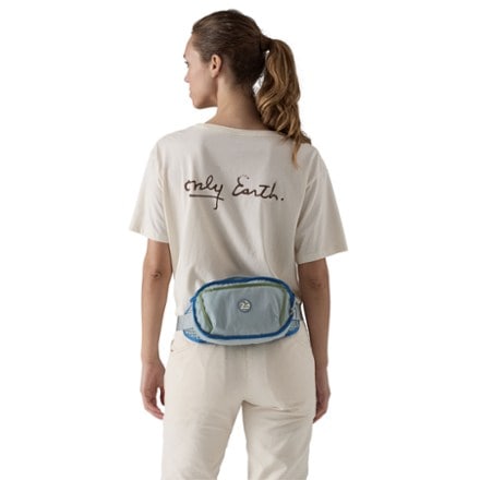 Patagonia Fieldsmith Hip Pack 3