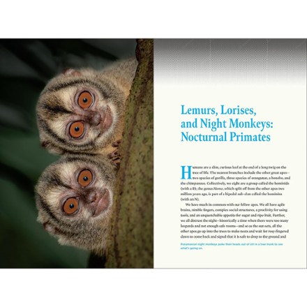 Timber Press Nature At Night: Discover the Hidden World That Comes Alive After Dark 3