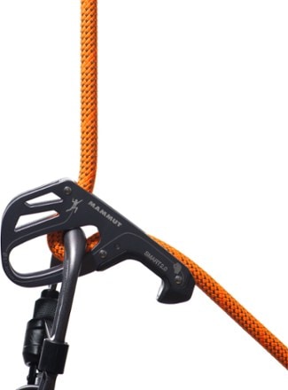 Dynamic Climbing Ropes