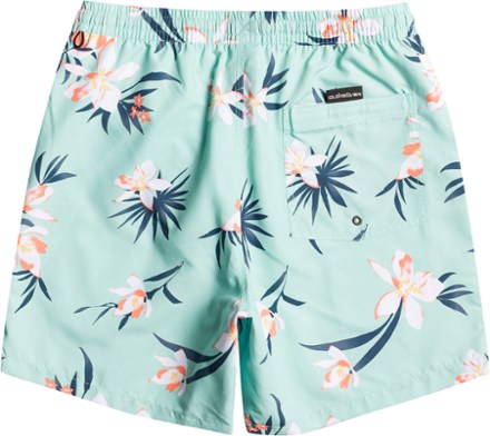 Quiksilver Everyday Mix 17" Volley Board Shorts 1