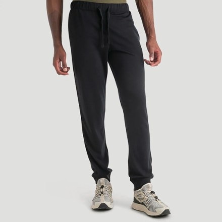 Icebreaker Merino Blend 200 Shifter Pants - Men's 0