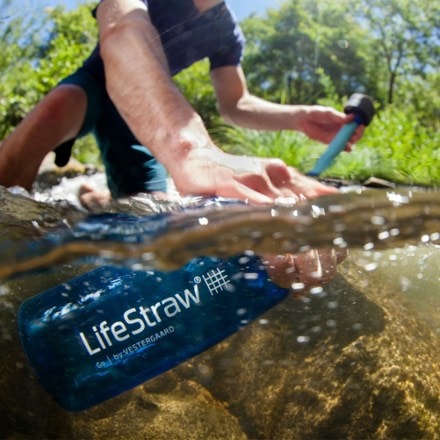 Location Image for Go 1 L Water Bottle with Filter - 34 fl. oz.