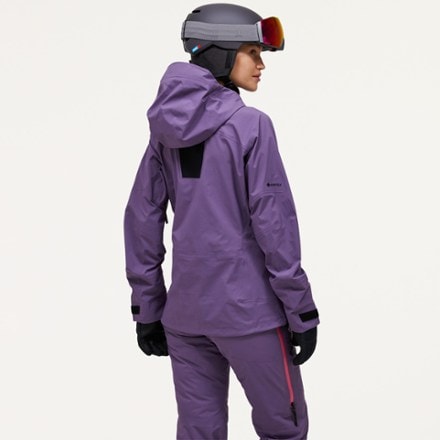 Peak Performance Alpine GTX Jacket - Women's 2