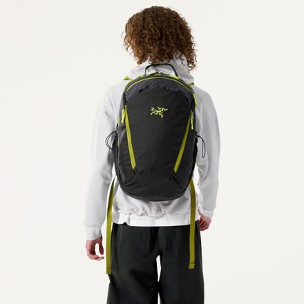 Arc'teryx Mantis 26 L Pack | REI Co-op