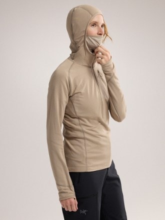 Arc'teryx Delta Half-Zip Hoodie - Women's 6