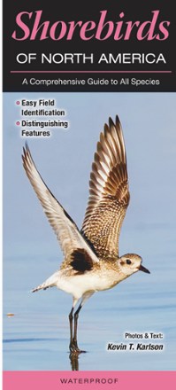 Quick Reference Publishing Shorebirds of North America 0