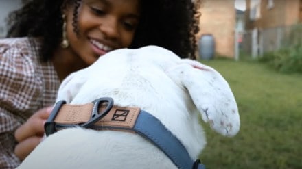 Herzog Silicone Collar | REI Co-op
