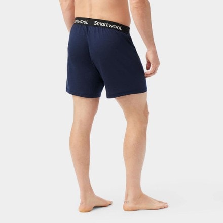 Smartwool Merino Boxer Briefs - Boxed - Men's 2