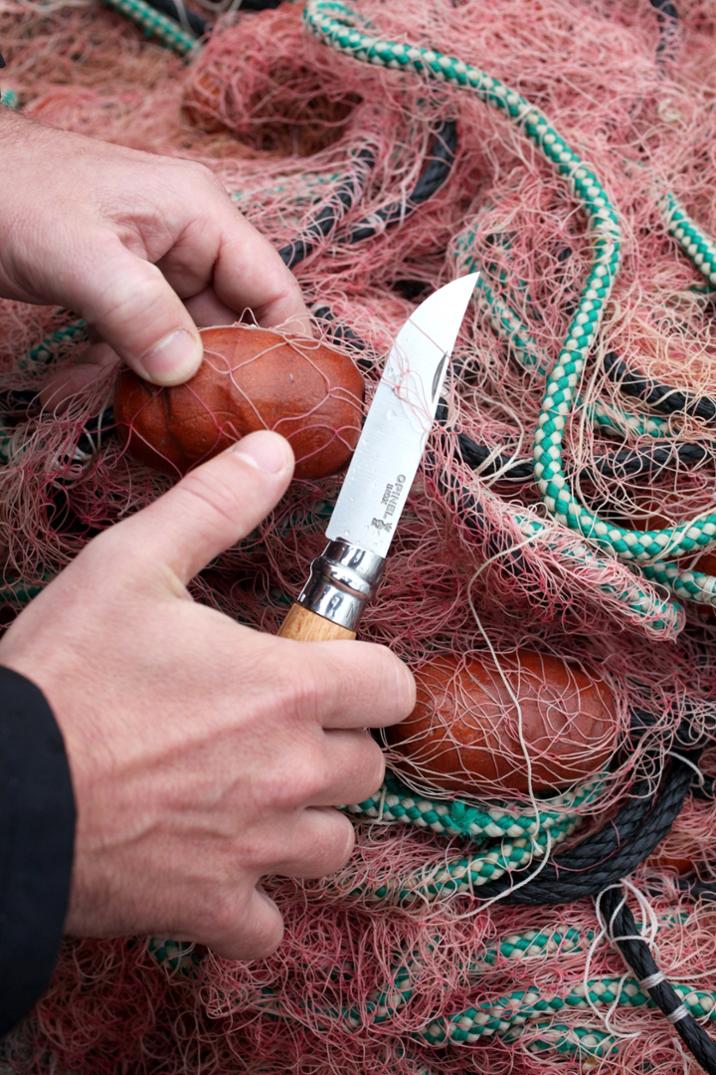 Location Image for No. 8 Beechwood Handle Knife