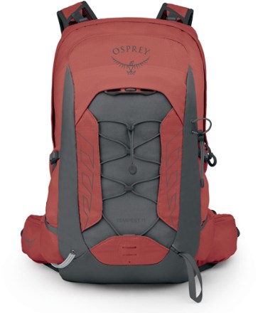 amazonbasics travel backpack SUITCASE BACKPACK  SLUGHAUS