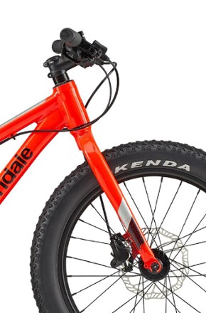 Cannondale Cujo Race 20+ Kids' Bike 3