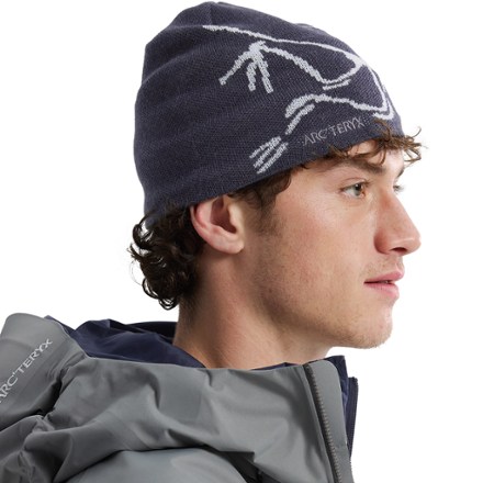 Arc'teryx Bird Head Toque Beanie 3