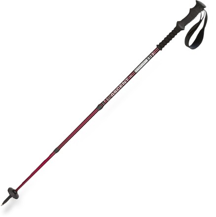 rei summit trekking pole