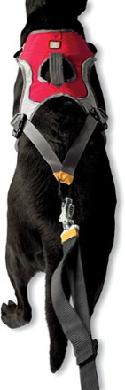 Harness and towline  top view (Red Currant)