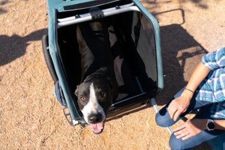 Burley Pet Bed 3