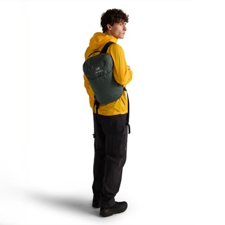 Arc'teryx Konseal 15 Pack 8