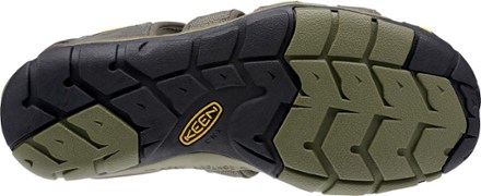 Sole View (Raven/Tortoise Shell)