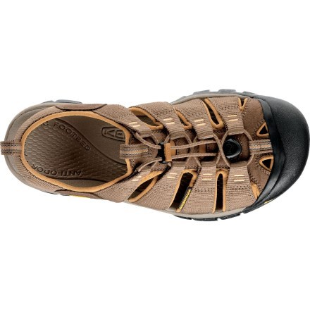 Top View (Shitake/Brown Sugar)