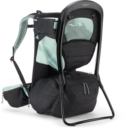 Thule Sapling Child Carrier 0