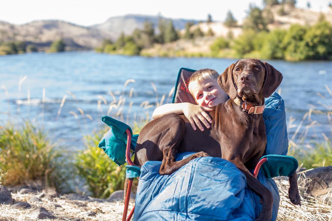 Location Image for Lowdown Chair