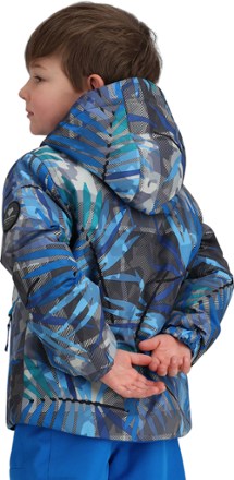 Obermeyer Ashor Insulated Jacket - Toddlers' 2