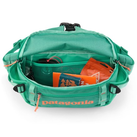 Patagonia Black Hole Waist Pack 5 L 3